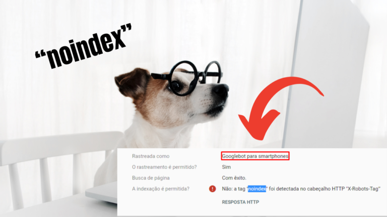 Resolvendo o Enigma da Tag Noindex: Um Guia Completo para Corrigir e Otimizar Seu Site